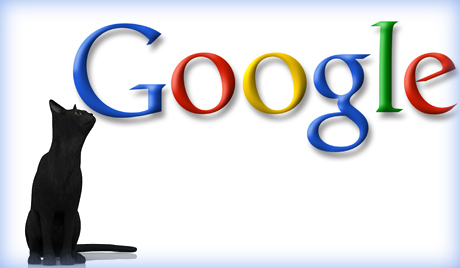 4google_cat