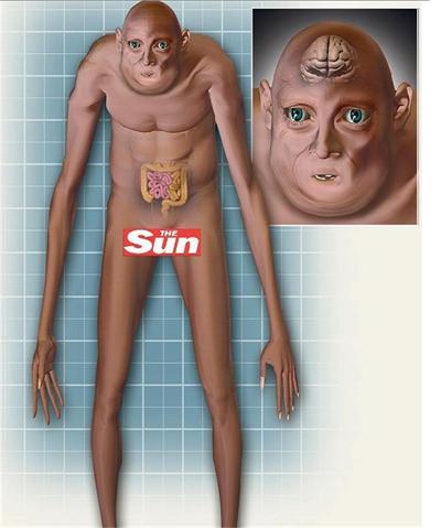 homo.02