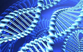 4-dna-strands