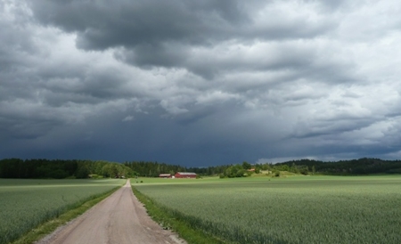 rain