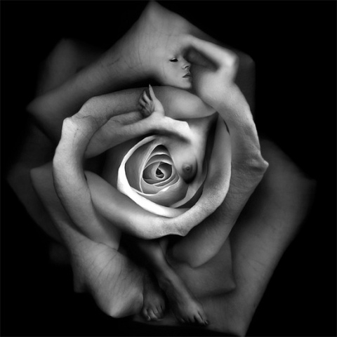 federico_bebber4