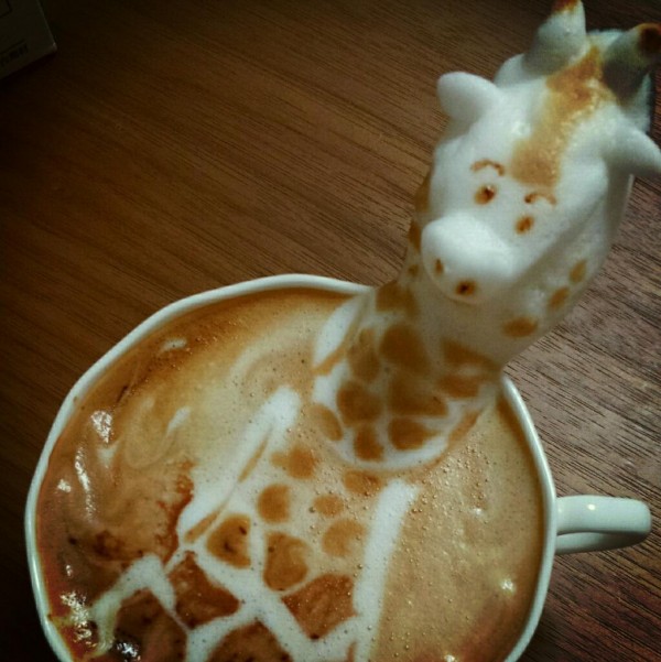 kafe