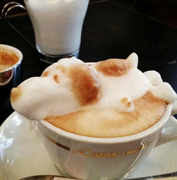 kafe3