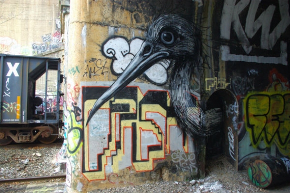 jivotni6