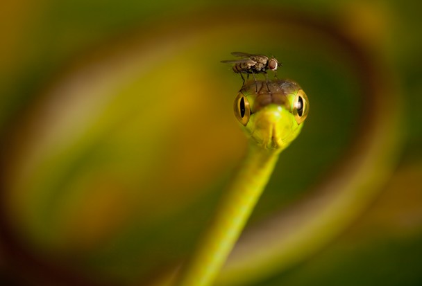 national-geographic-photography-contest-2011-30