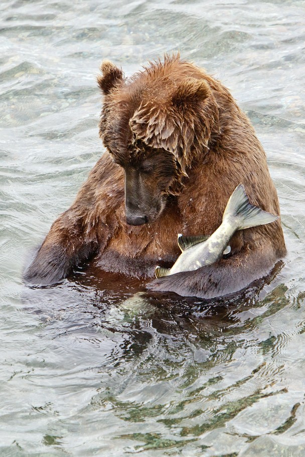 national-geographic-photography-contest-2011-21