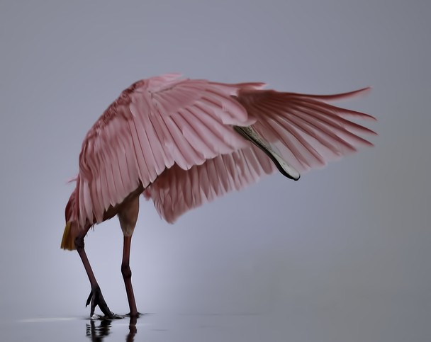 national-geographic-photography-contest-2011-09