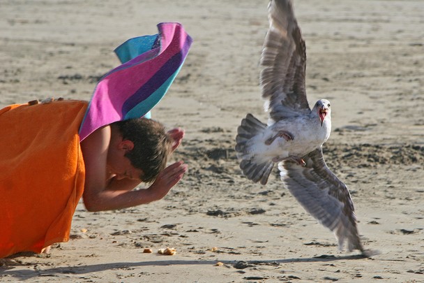 national-geographic-photography-contest-2011-08
