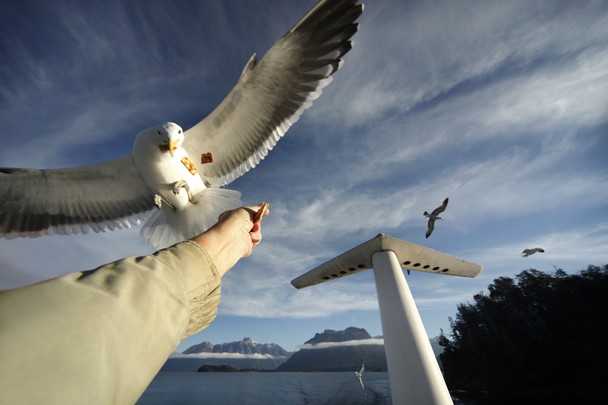 national-geographic-photography-contest-2011-04